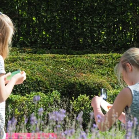 Kinderen kijken in de museumtuin met de Kijkwaaier