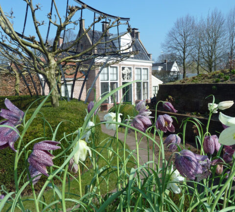 Doorkijkje naar de Oranjerie met Kievitsbloemen op de voorgrond
