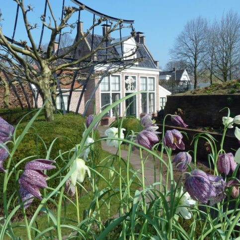 Doorkijkje naar de Oranjerie met Kievitsbloemen op de voorgrond