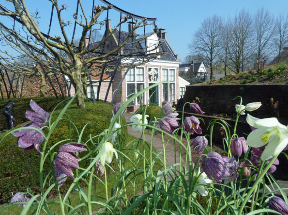 Doorkijkje naar de Oranjerie met Kievitsbloemen op de voorgrond