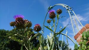 Het blauwe entreehek van de museumtuin