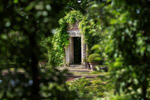 Doorkijkje in de museumtuin